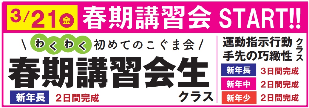 2025小学受験合格実績　　 | 広島の学習塾・進学塾・個別指導｜大木スクール